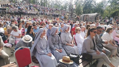 Zdjęcie 6 / 16