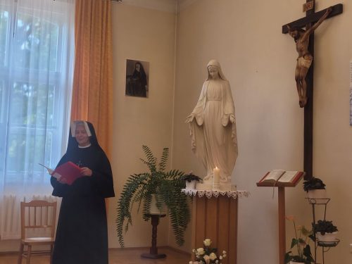 Zdjęcie 7 / 30