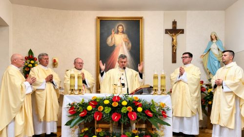 Zdjęcie 4 / 12