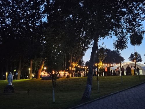 Zdjęcie 4 / 16
