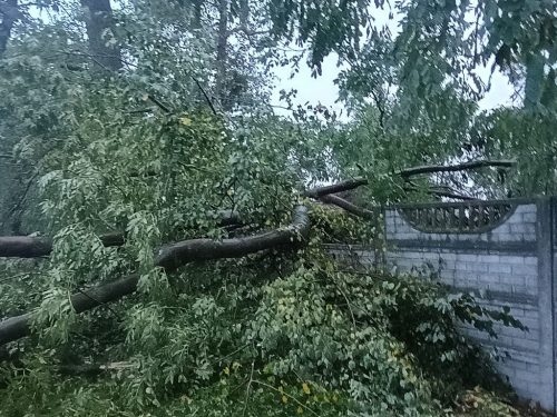 Zdjęcie 3 / 28