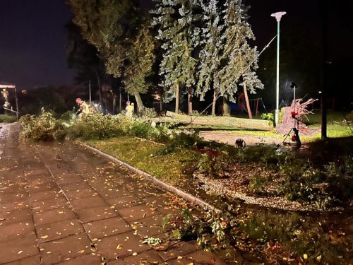 Zdjęcie 10 / 28