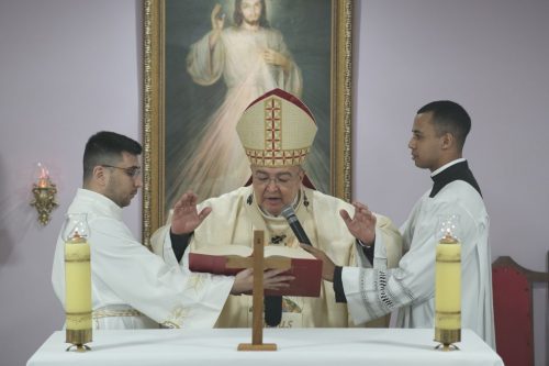 Zdjęcie 12 / 16