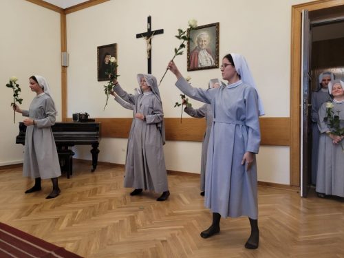 Zdjęcie 7 / 44