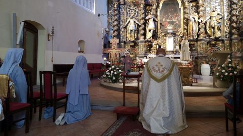 Zdjęcie 6 / 8