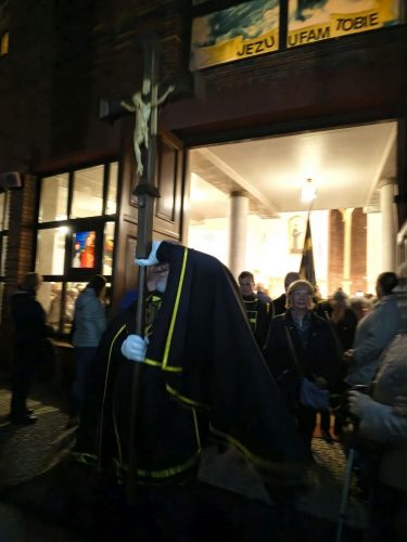Zdjęcie 6 / 16