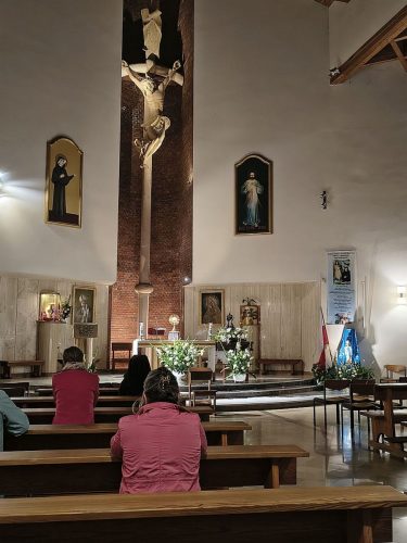 Zdjęcie 11 / 16