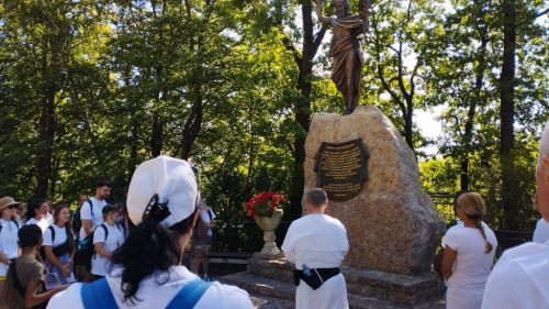 Zdjęcie 33 / 40